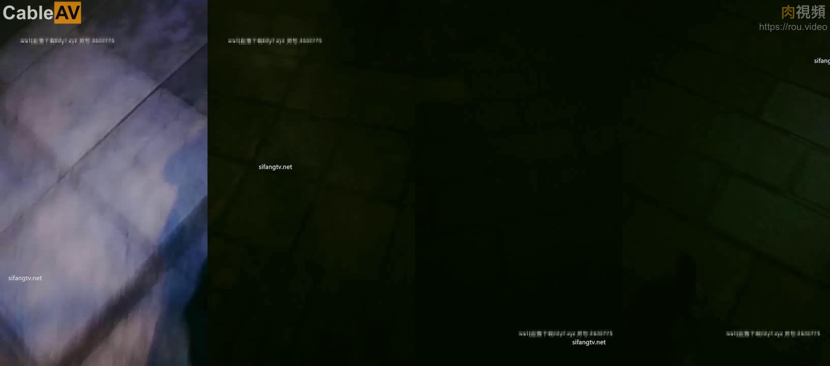 全国探花 200810 12292